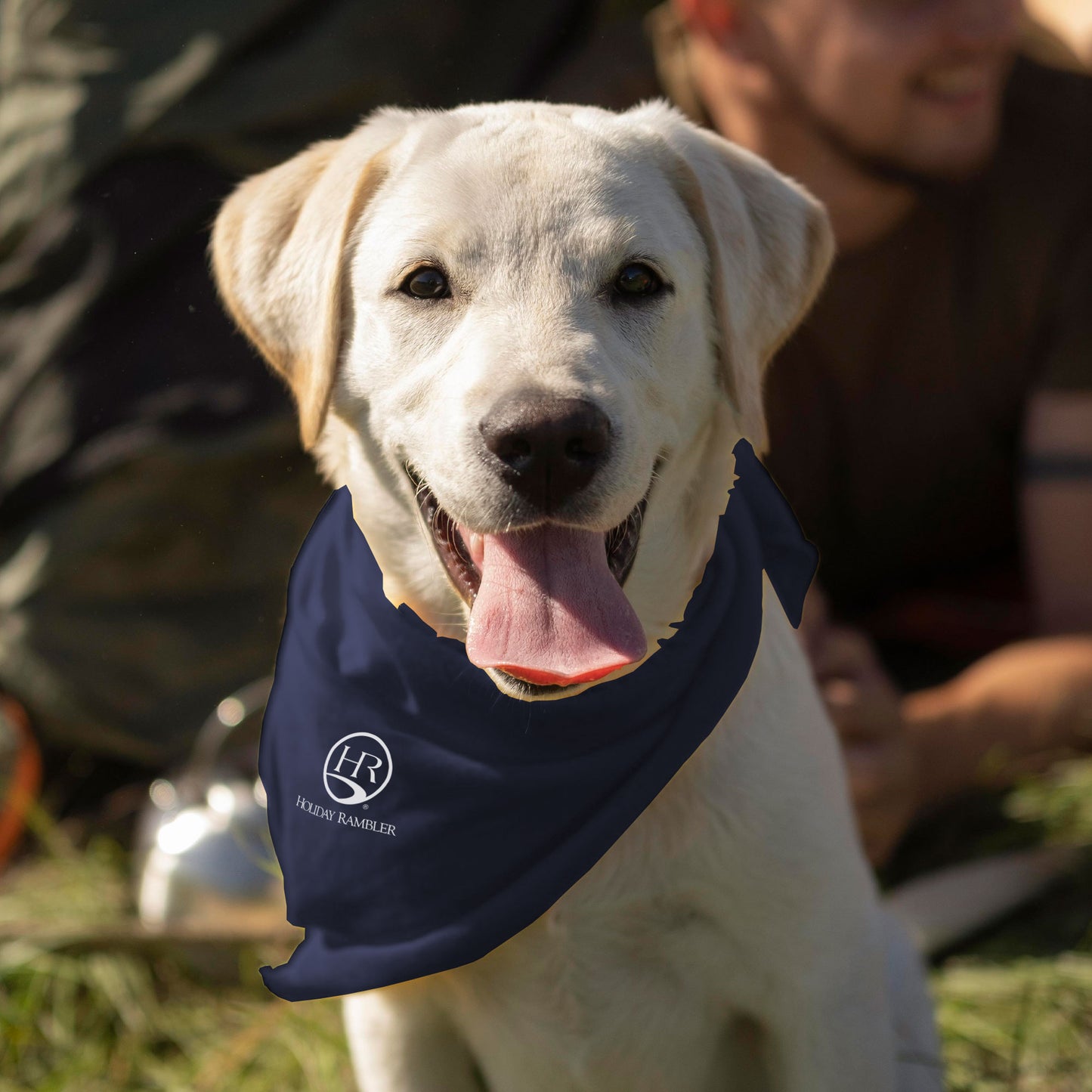 USA-Made Doggie Bandana Holiday Rambler